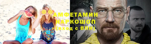 индика Белокуриха