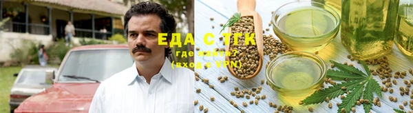 индика Белокуриха