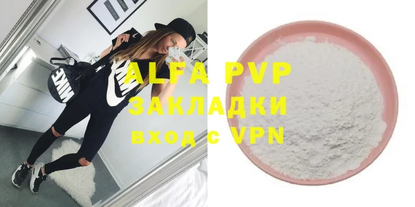 индика Белокуриха
