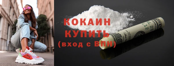 гидра Белоозёрский