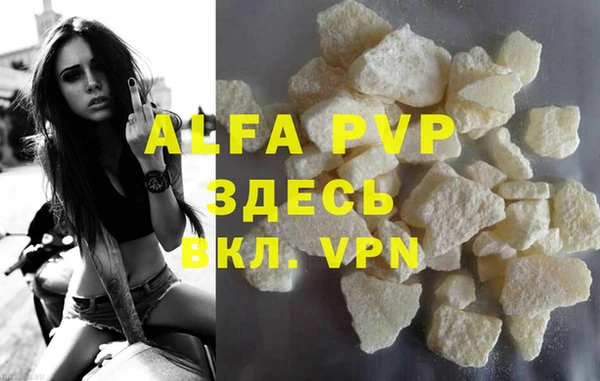 индика Белокуриха