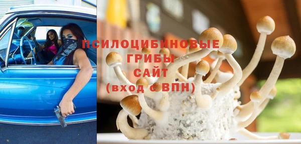 индика Белокуриха