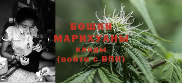 гидра Белоозёрский