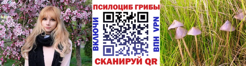 Псилоцибиновые грибы мицелий  сколько стоит  Верхотурье 